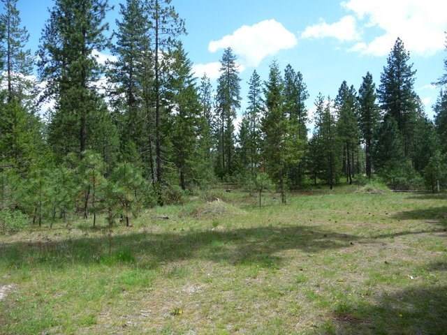 XX Palmer Ln - Photo 1