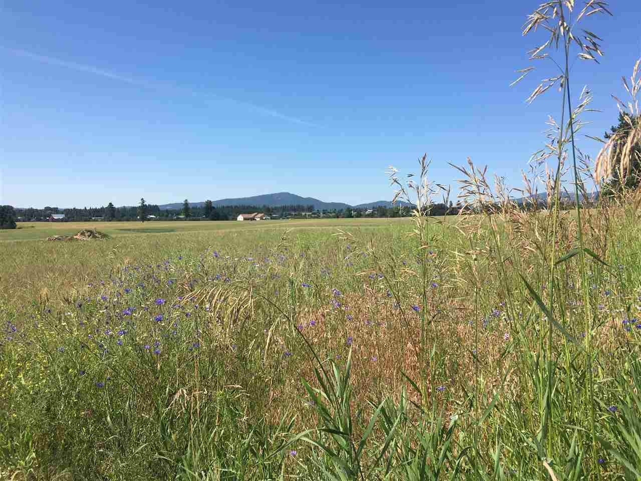000 Herman Rd - Photo 1