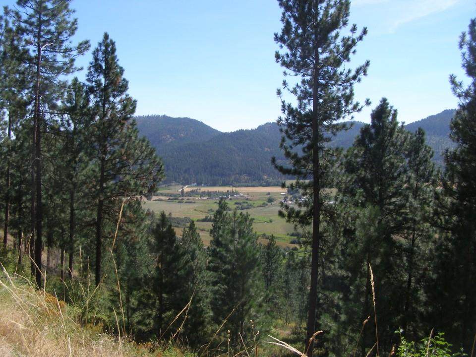 NKA Hwy 395 - Photo 1