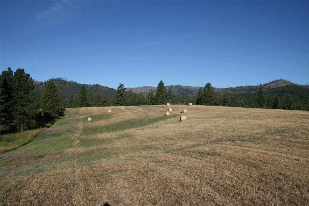 XXX Olinger Rd - Photo 1