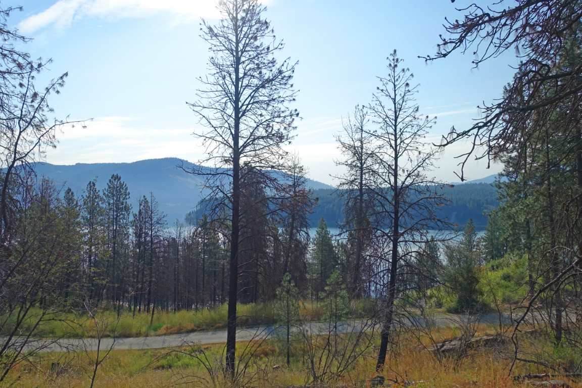 Lot 17 Ponderosa Park Dr - Photo 1