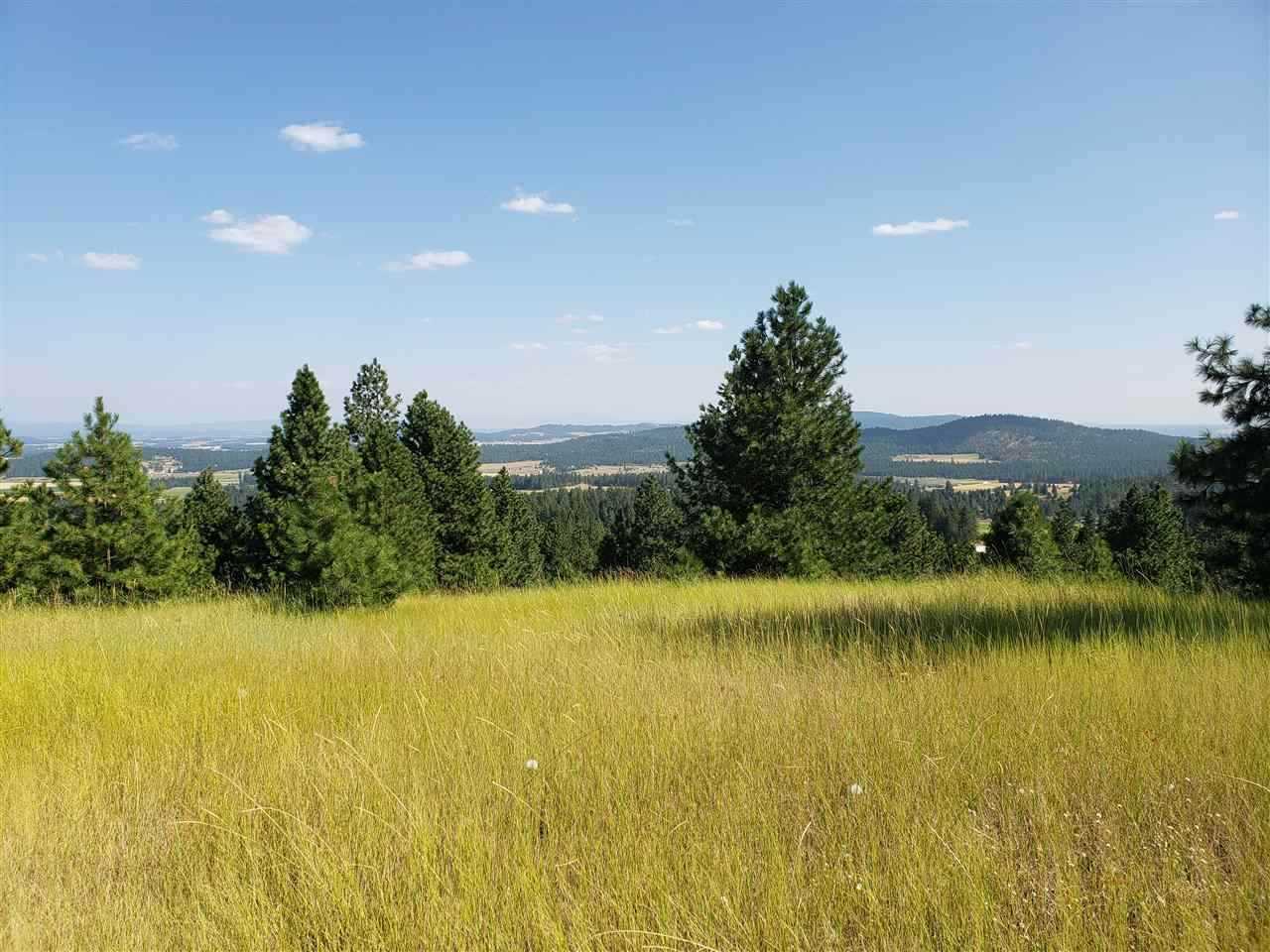 XXX Quail Ridge Way - Photo 1