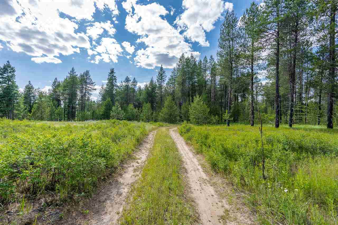 10700 Whispering Pines Ln - Photo 1