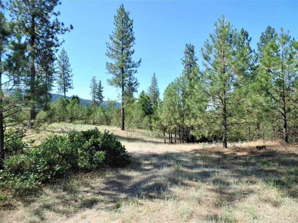 Lot 110 Old Kettle Rd - Photo 1