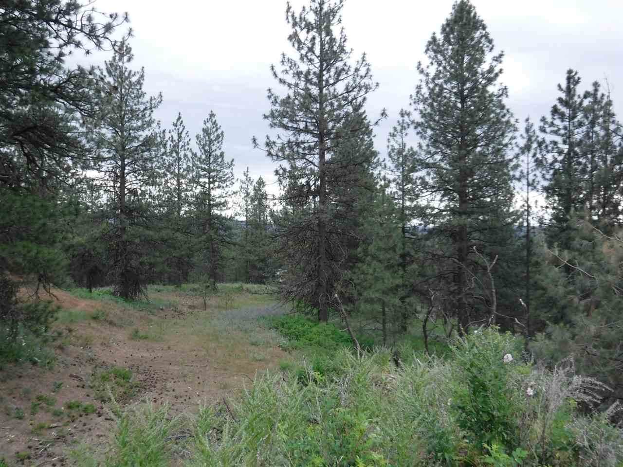 X Bigfoot Ln - Photo 1