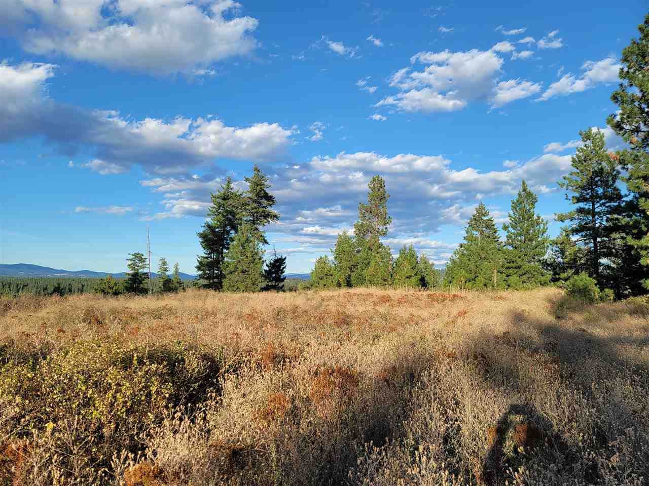 Lot 18 Vista Point Ln - Photo 1