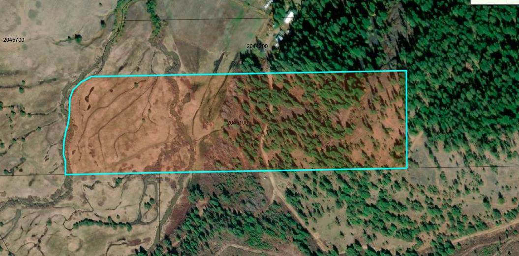 xxx Springdale Hunters Rd - Photo 1