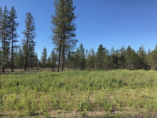 5742 lot 2 Corkscrew Canyon Rd - Photo 1
