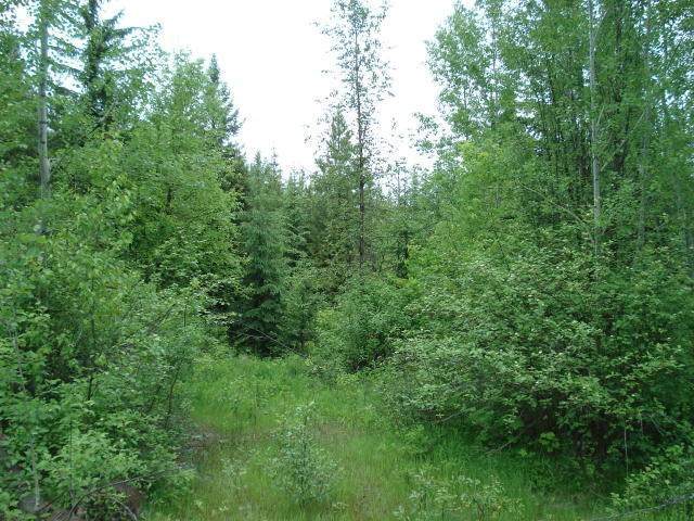 525 4th Of July Creek Rd - Photo 1