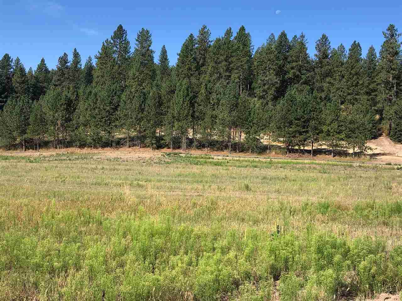 160xxx Halliday Tract C Ln - Photo 1