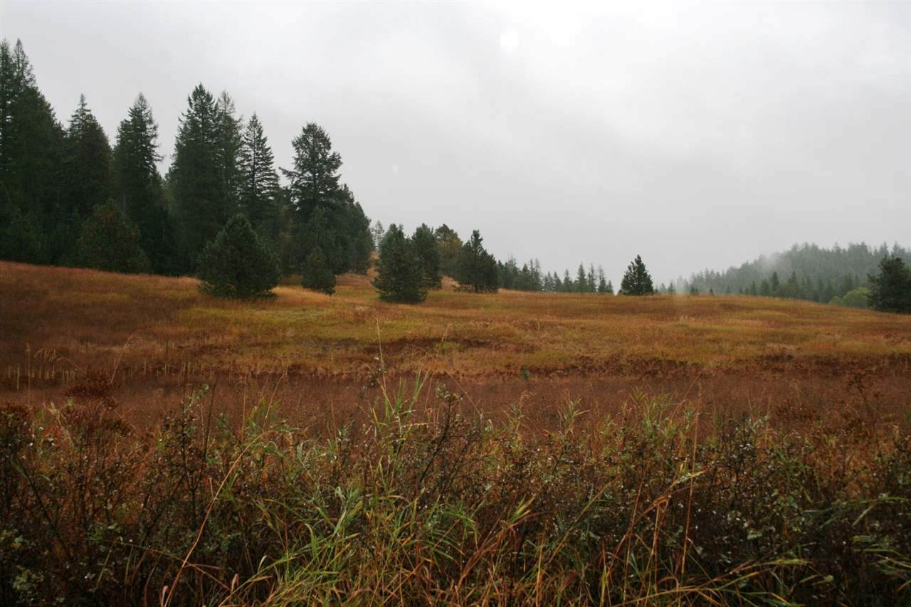 00 Whittier Rd - Photo 1