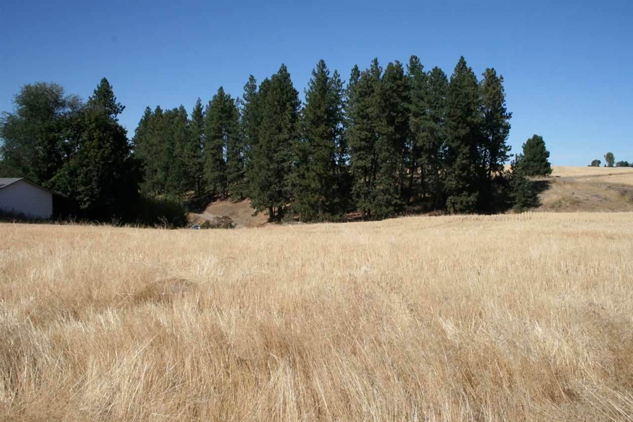 7827 Bigelow Gulch Rd - Photo 1