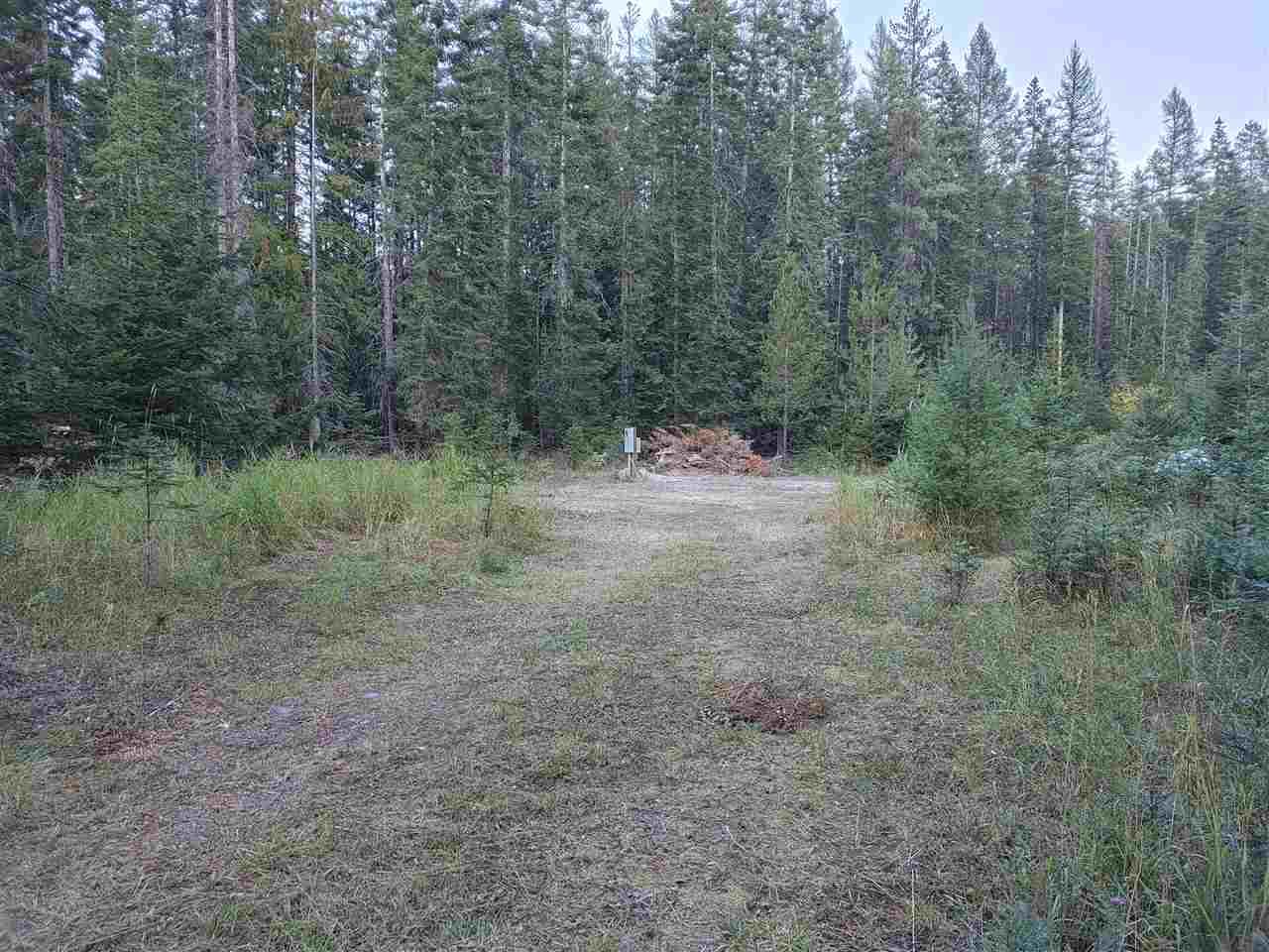 901 Larch Ln - Photo 1