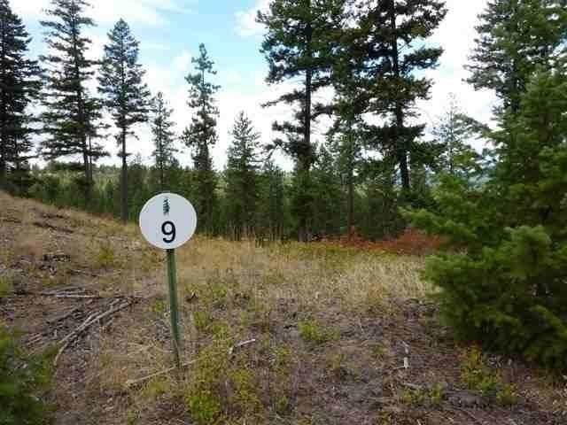 11418 Elk Run Ln - Photo 1