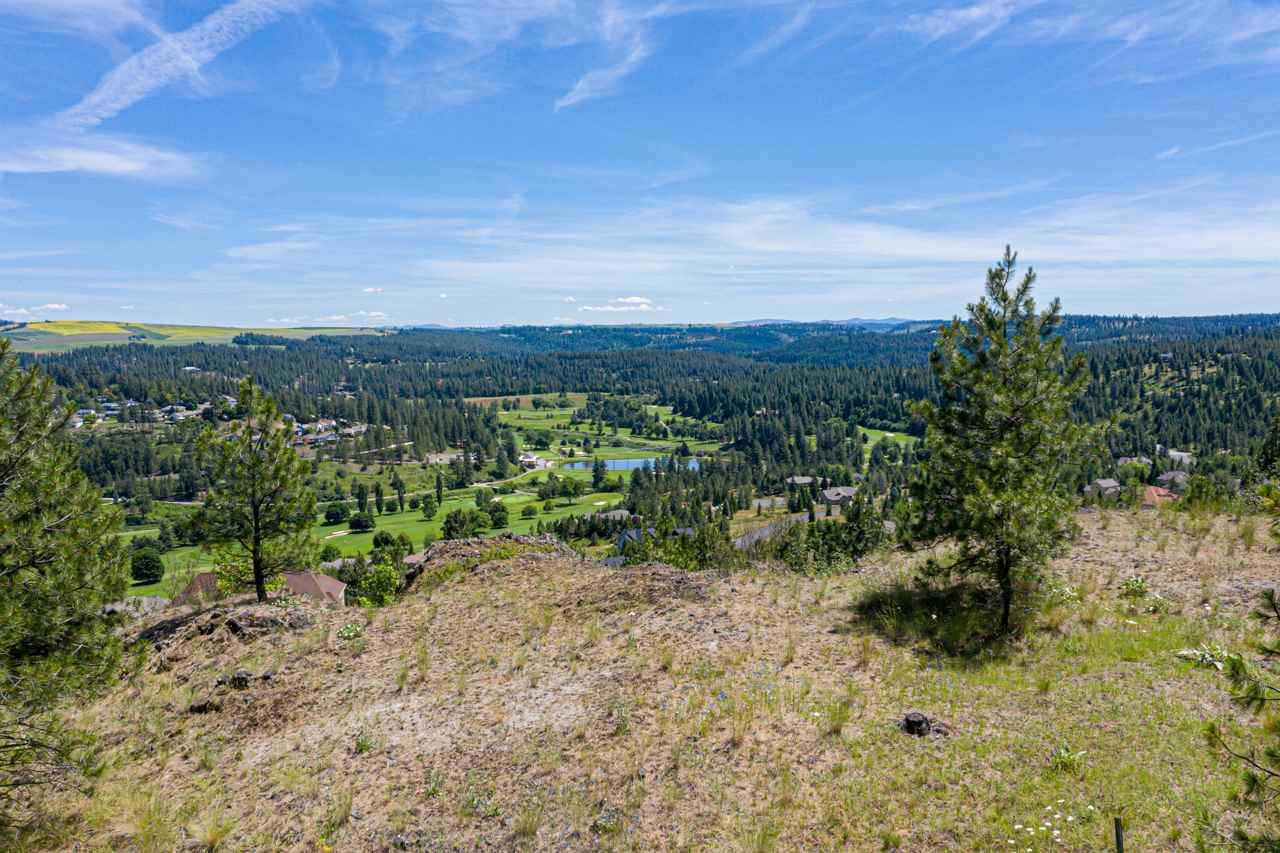 1328 Quail Creek Ln - Photo 1
