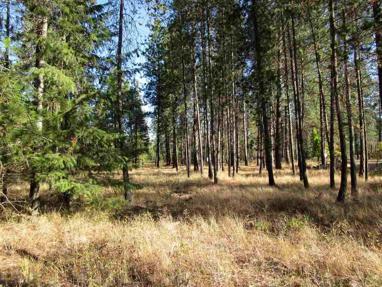 000 Golf Course Rd - Photo 1