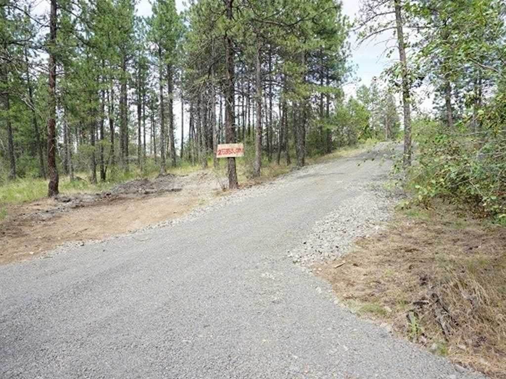 3919 Sand Diego Rd - Photo 1
