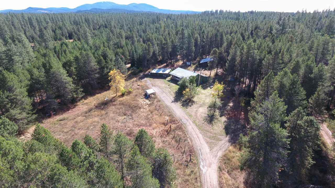 13008 Bridges Rd - Photo 1