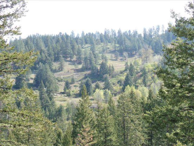 995 L Gold Hill Rd - Photo 1