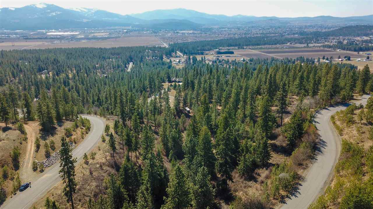 10305 Lookout View Ln - Photo 1