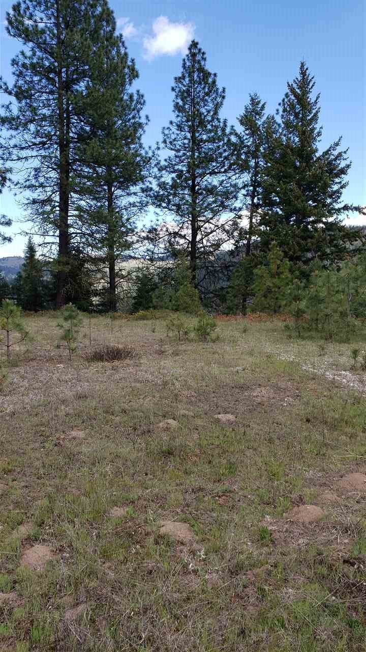 Lot 2 Highland Ranch Estates Rd - Photo 1
