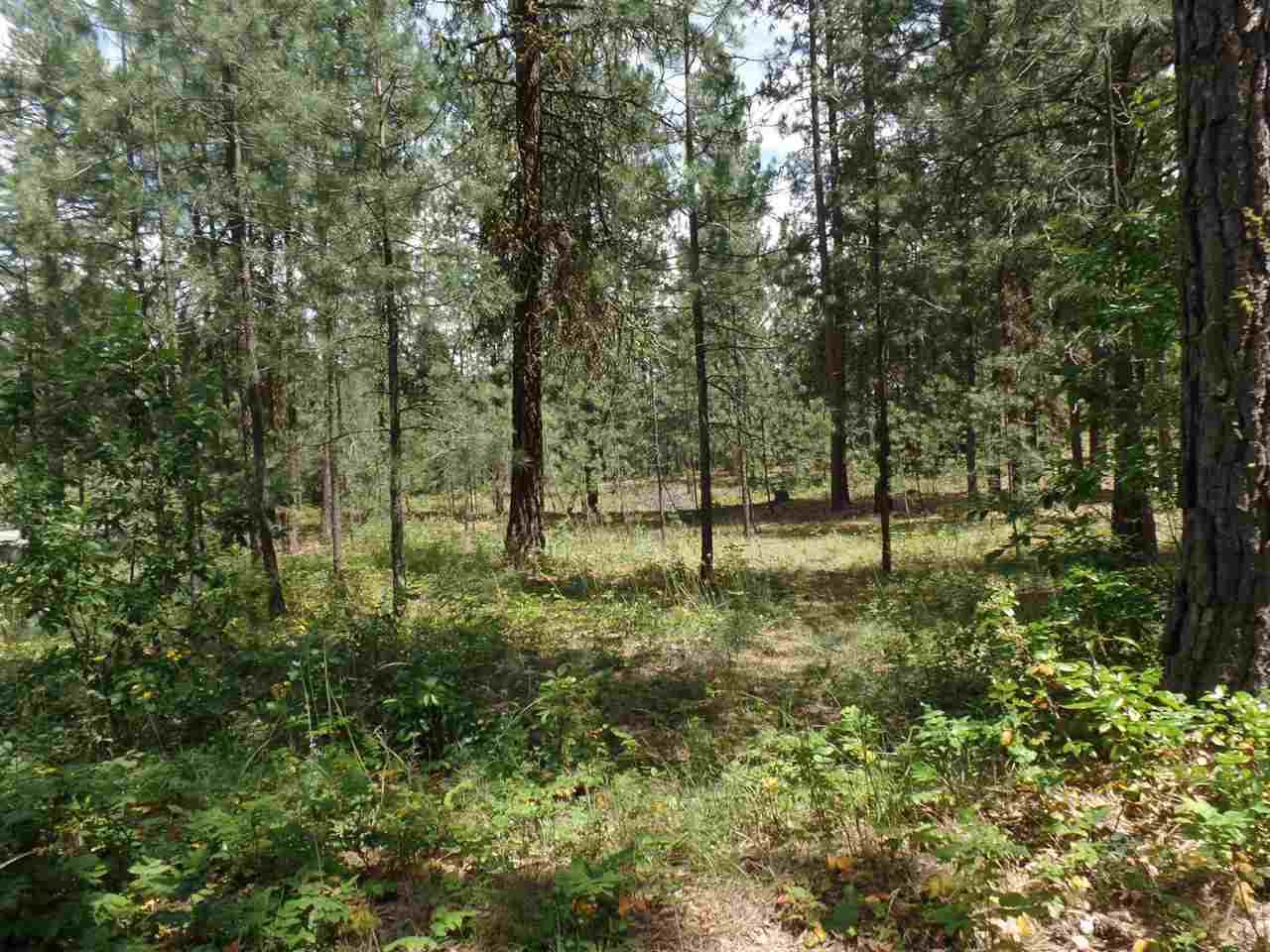 1060 A 395 Hwy - Photo 1