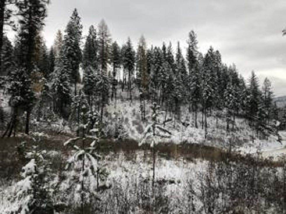 4636 Grouse Creek Rd - Photo 1