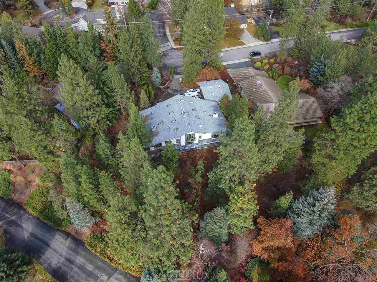 2002 Overbluff Rd - Photo 1