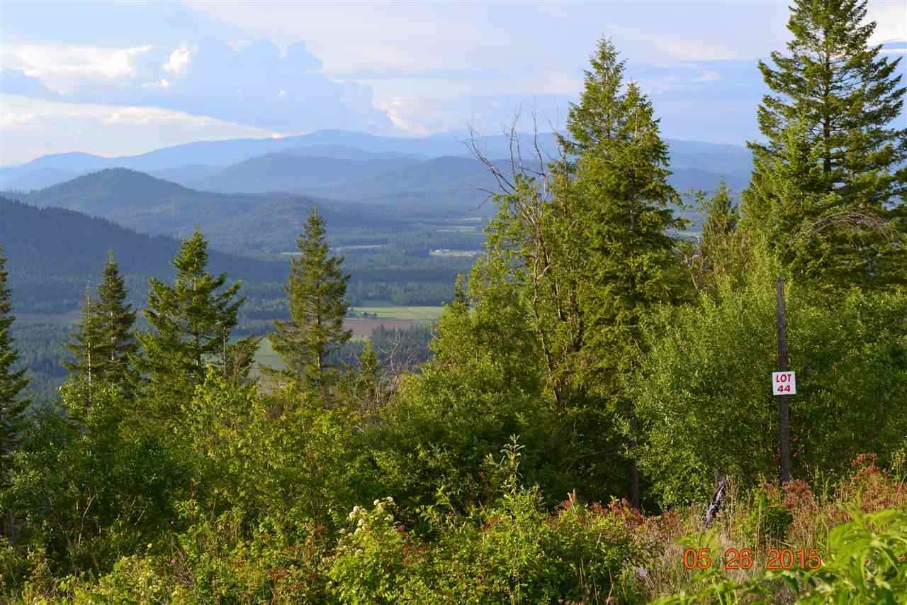 XX Blueridge Way - Photo 1