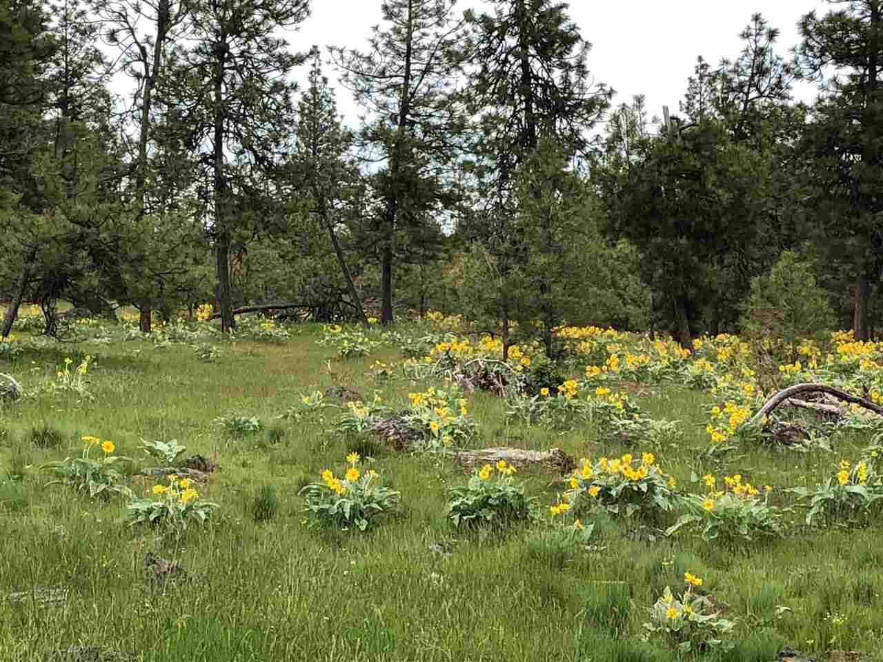 21100 Harrison Rd - Photo 1