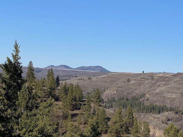 31775 Ruffed Grouse Dr - Photo 1