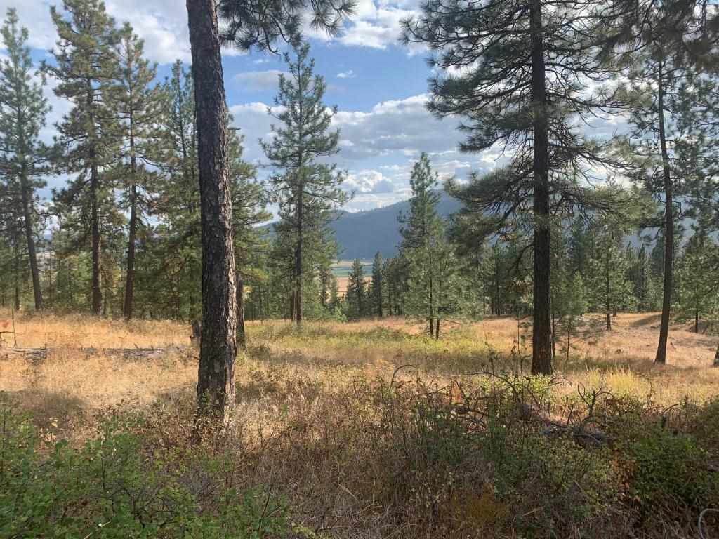 Lot 20 Palmer Loop - Photo 1