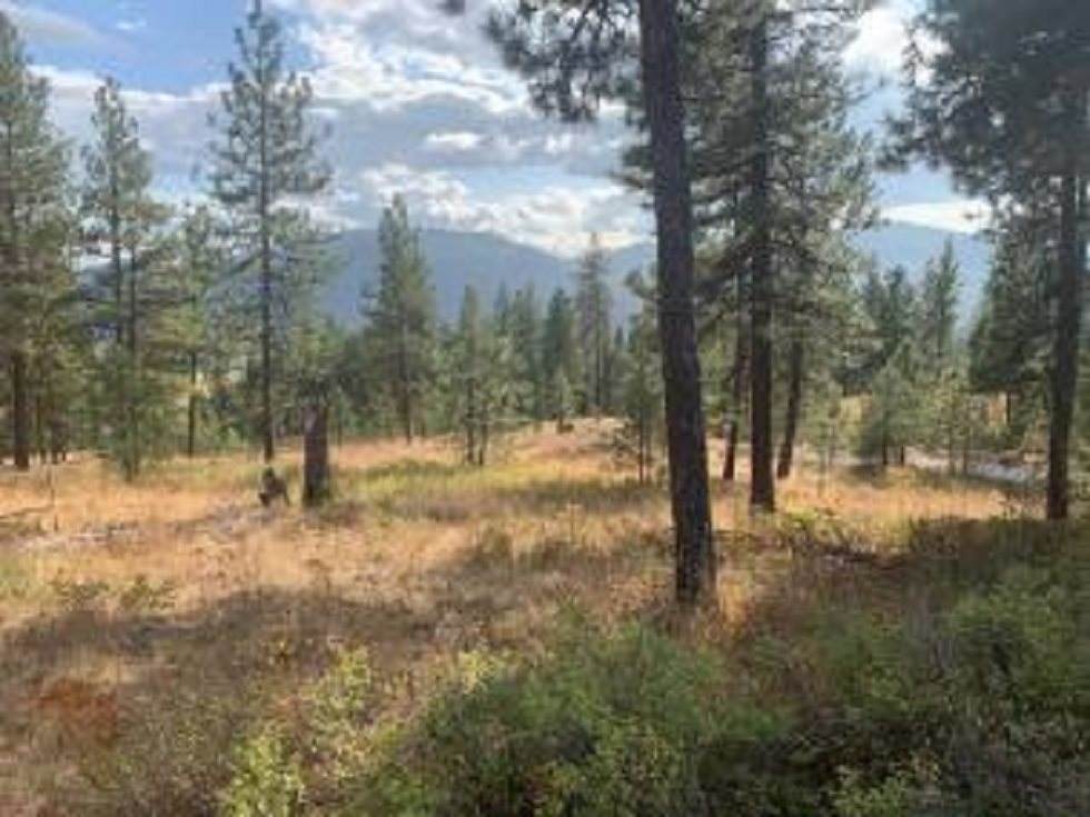 LOT 23 Palmer Loop - Photo 1