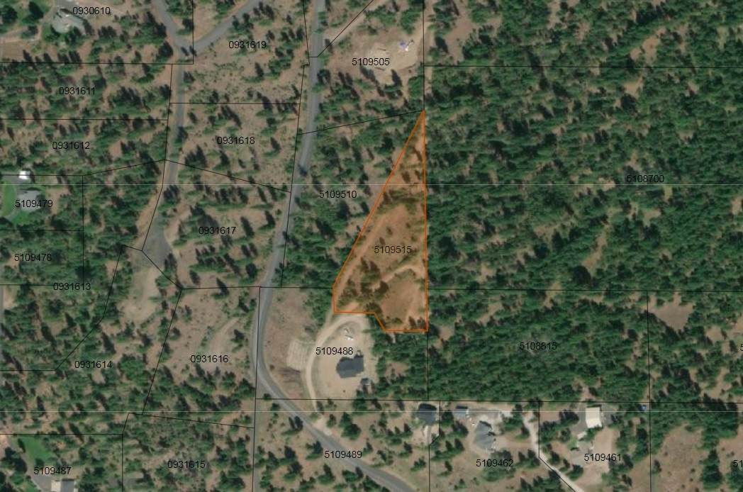 TBD Pine Ridge Way - Photo 1