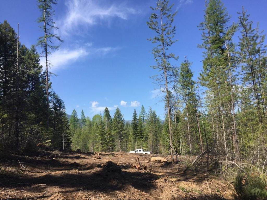 3499 Waitts Lake Rd - Photo 1