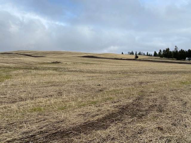 15xxx Silver Lake Rd Parcel F Rd - Photo 1