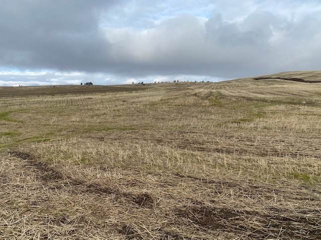 15xxx Silver Lake Rd Parcel G Rd - Photo 1