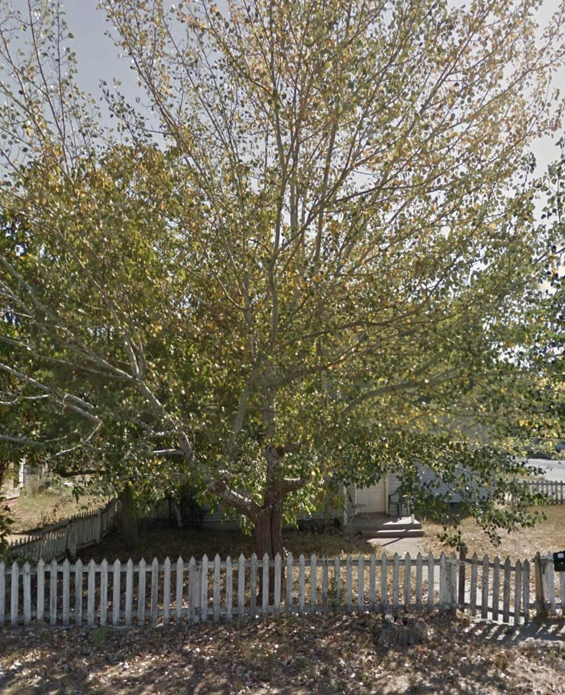 2602 Hogan St - Photo 1