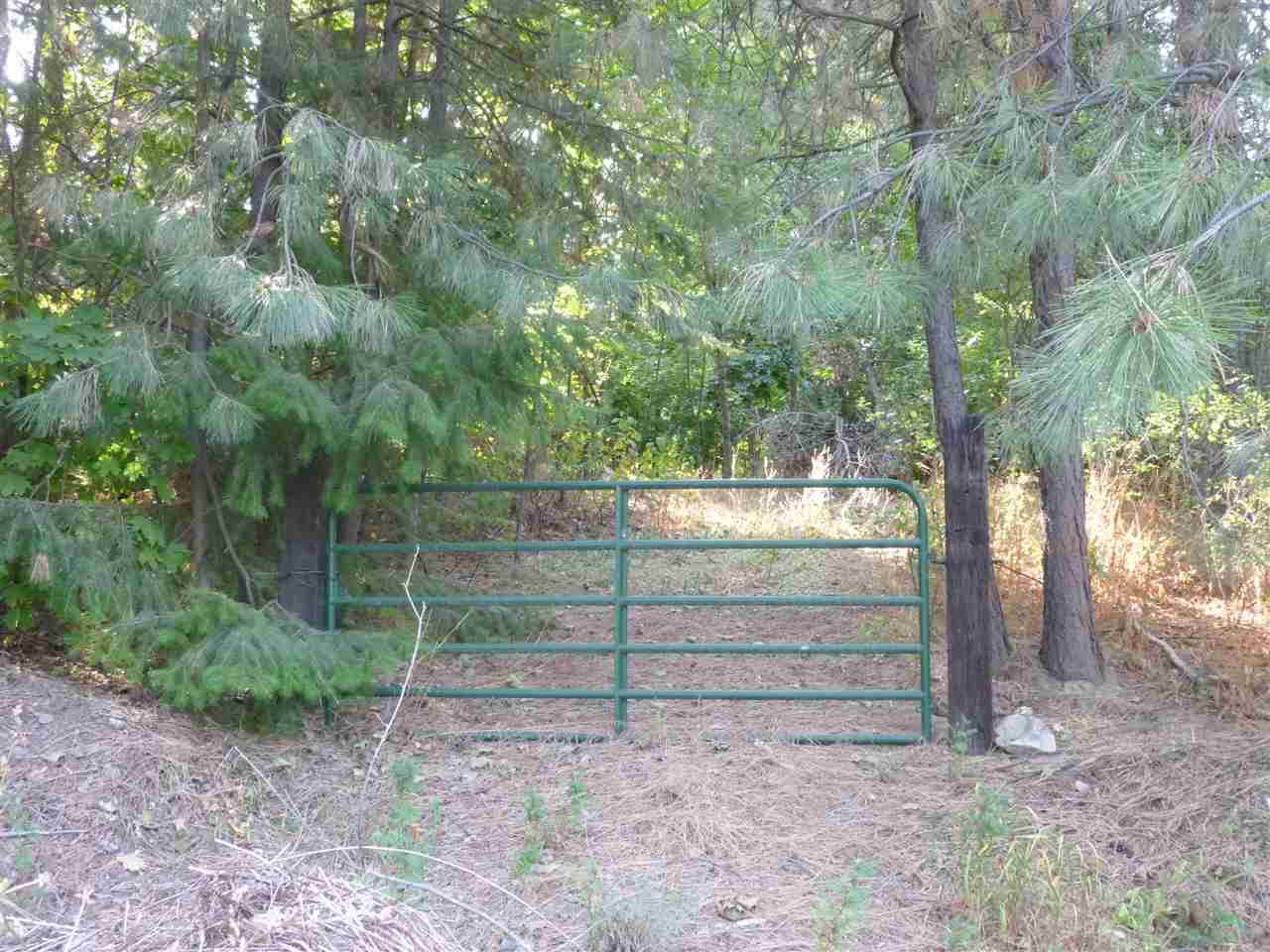 3271 Williamson Ct - Photo 1