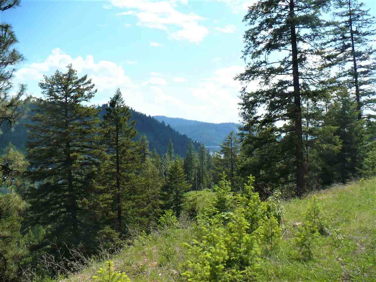 4139 Deer Lake Rd - Photo 1