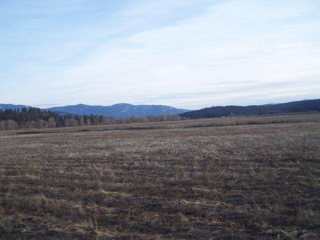 4xx Orin Rice Rd - Photo 1