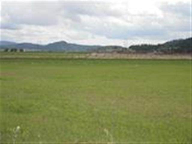 000 Schmidlekofer Rd - Photo 1