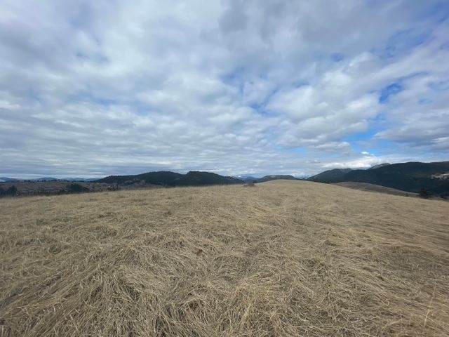 18XX Brooks Both Parcels Rd - Photo 1