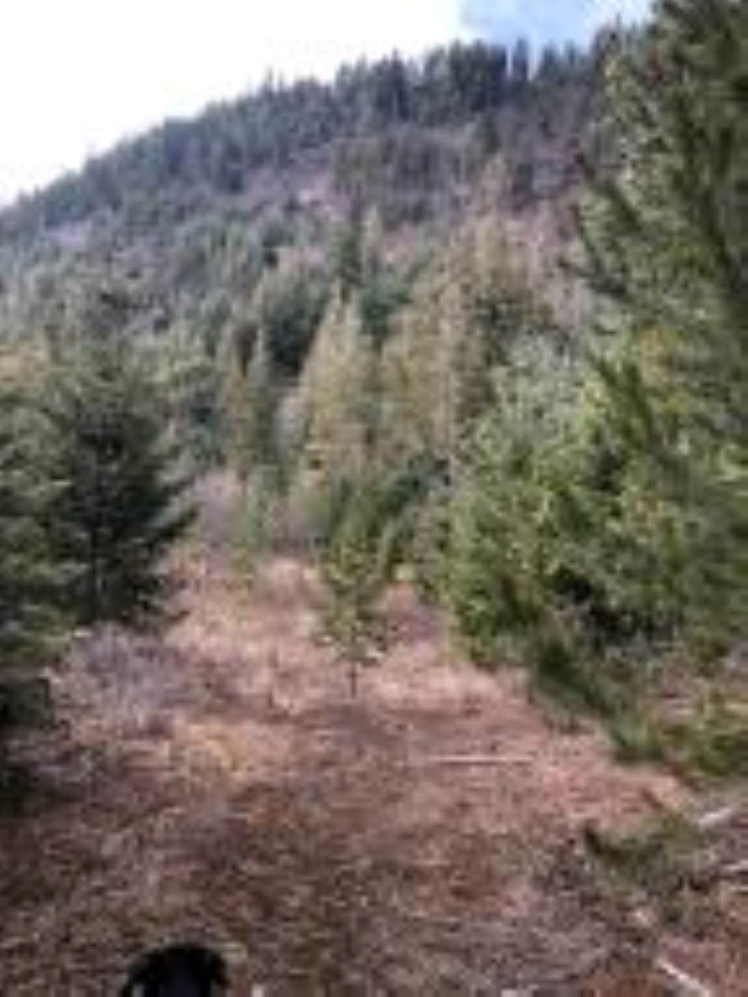 XXX Mud Lake Rd - Photo 1