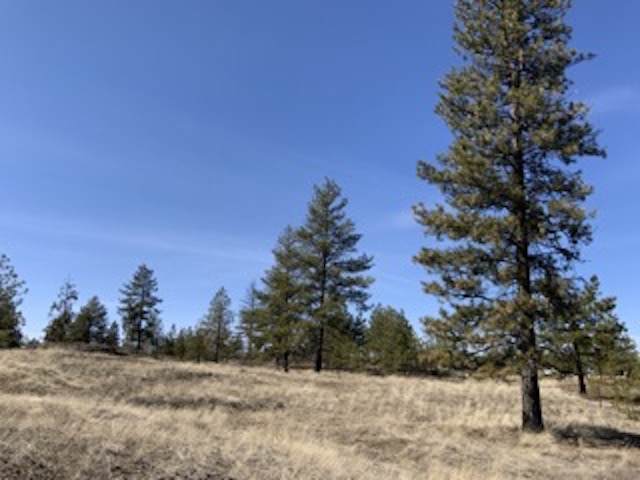 31100 Ruffed Grouse Dr - Photo 1