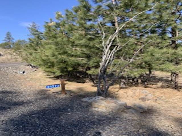 31273 Ruffed Grouse Dr - Photo 1
