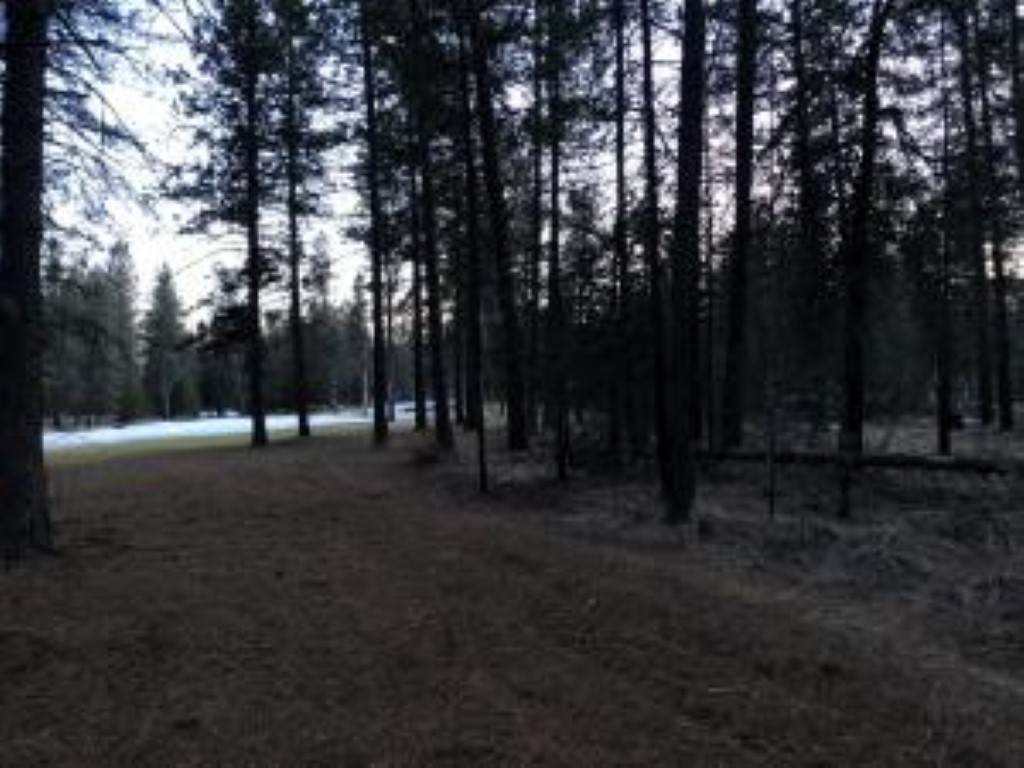 205 Eagle Dr - Photo 1