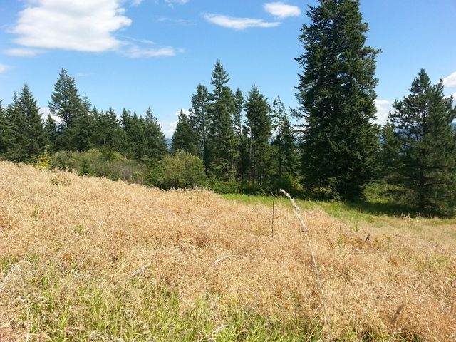 3378 G Hill Loop Rd - Photo 1