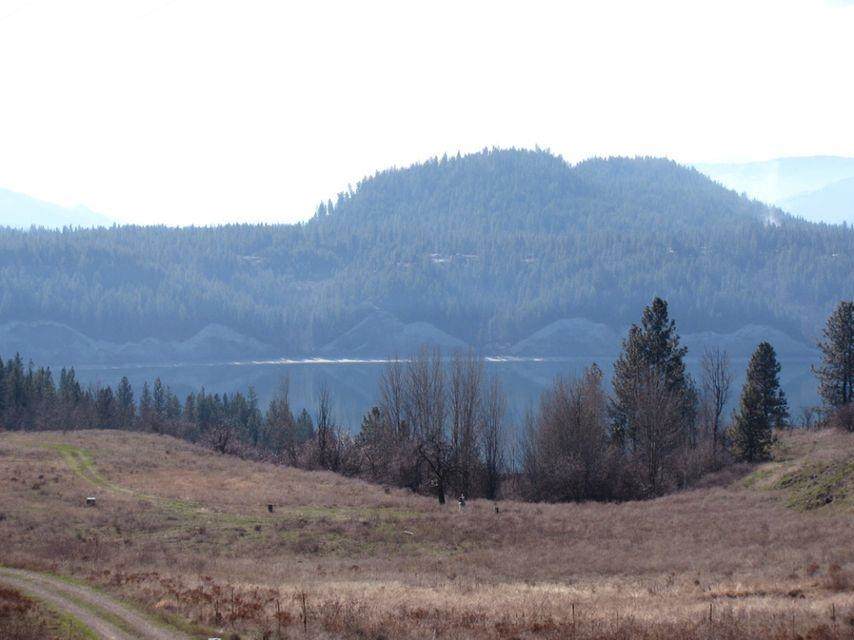 1237 Lot I Gold Edge Mine Rd - Photo 1