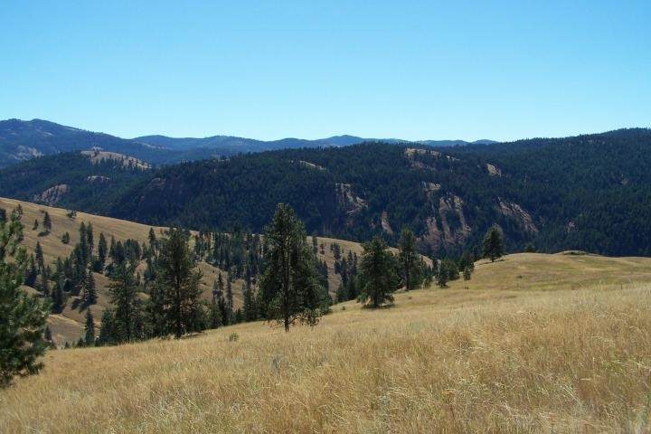 TBD Sqove Rd - Photo 1